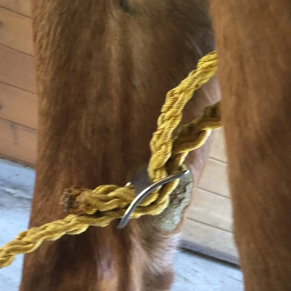 Artisan repurposed horse tack prototype art western project equestrian cowgirl - Picture 8 of 14